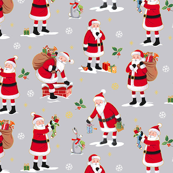 TP 2480 S Santa in Grey