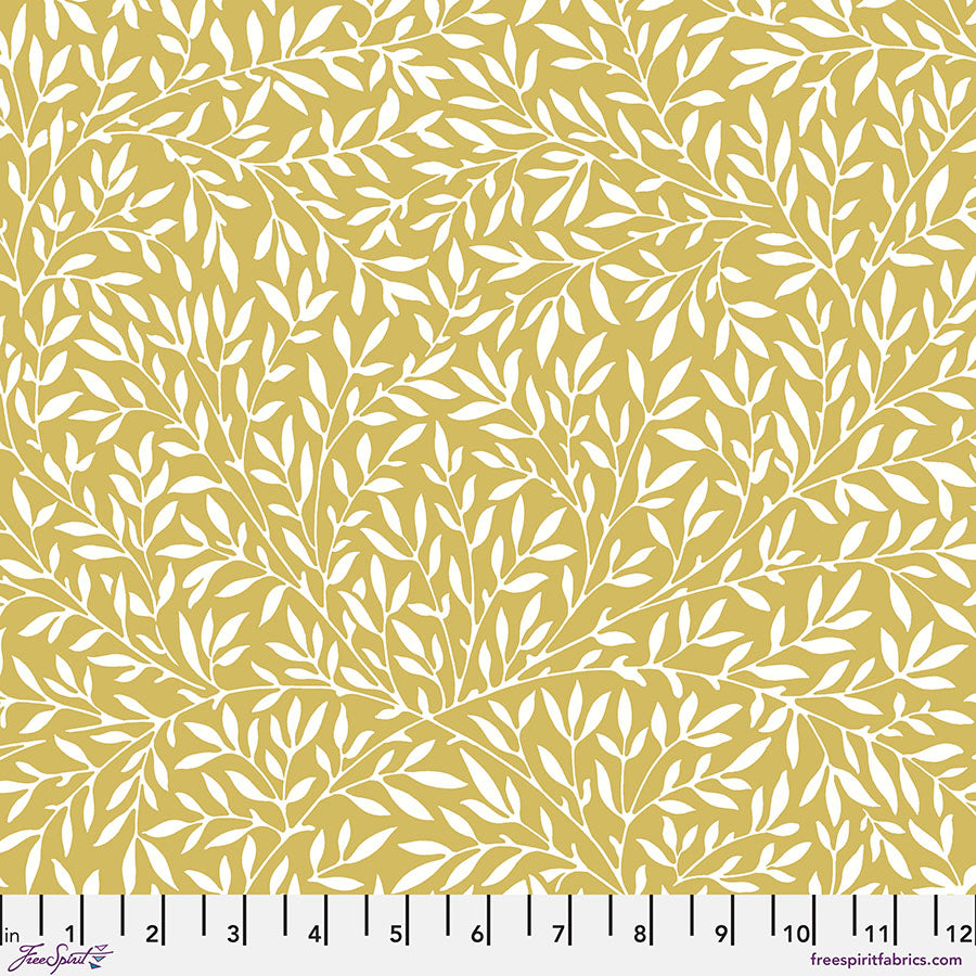 Leicester -Standen Lily in Yellow