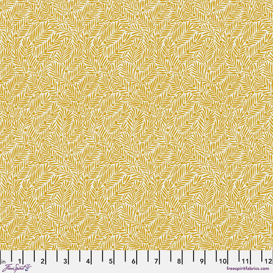 Bedford Park - Yew & Aril in Sunshine